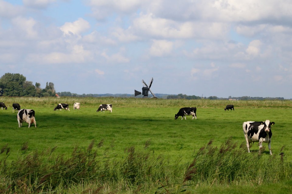Belastingaangifte? geef lagere normwaarden op