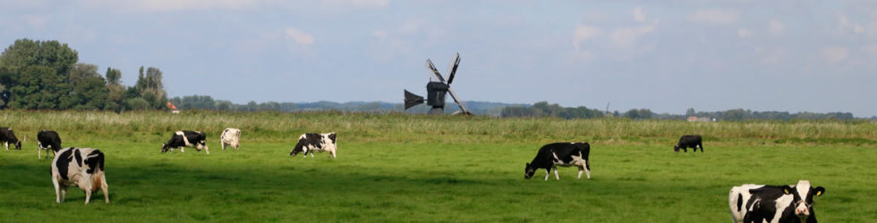 Belastingaangifte? geef lagere normwaarden op