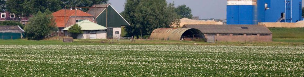 Rentmeester in het Veld – Simon Kapteijn
