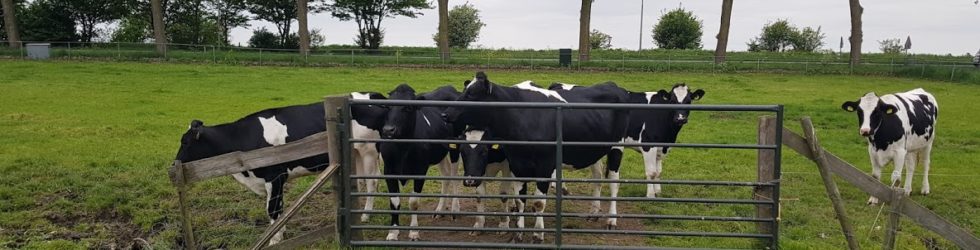 Is de reguliere pachtprijs die u ontvangt als grondeigenaar eigenlijk wel marktconform? Een verrekening met terugwerkende kracht is mogelijk.﻿