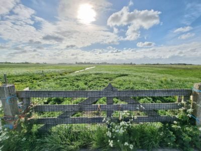 Hoe verzorgt u als gemeente het verpachten van gronden na het Didam-arrest?