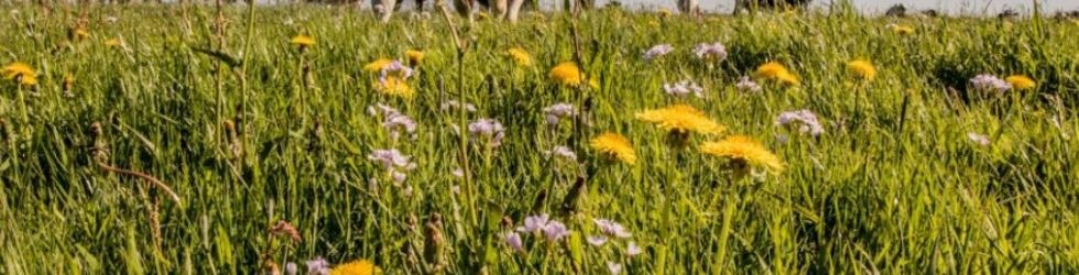 Duurzaam grondbeheer in relatie tot pacht; natuur & landbouw