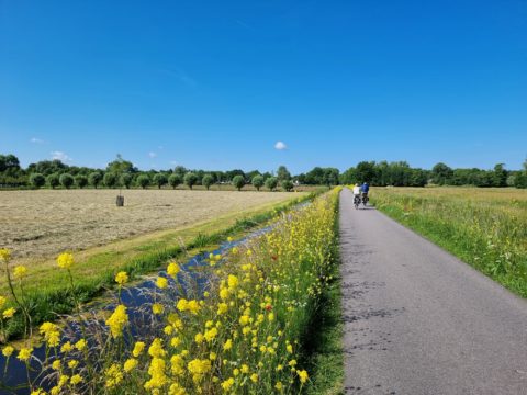 zomer bergen