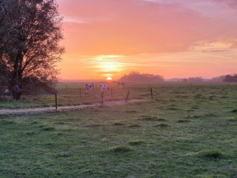 zon onder herfst