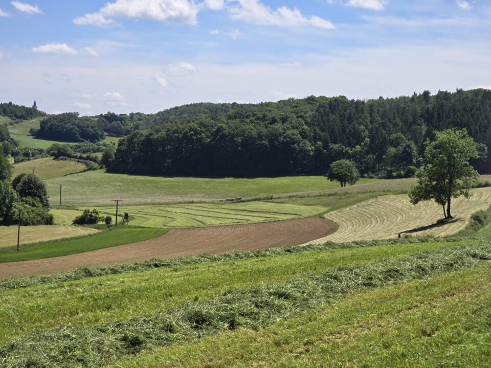 heuvellandschap